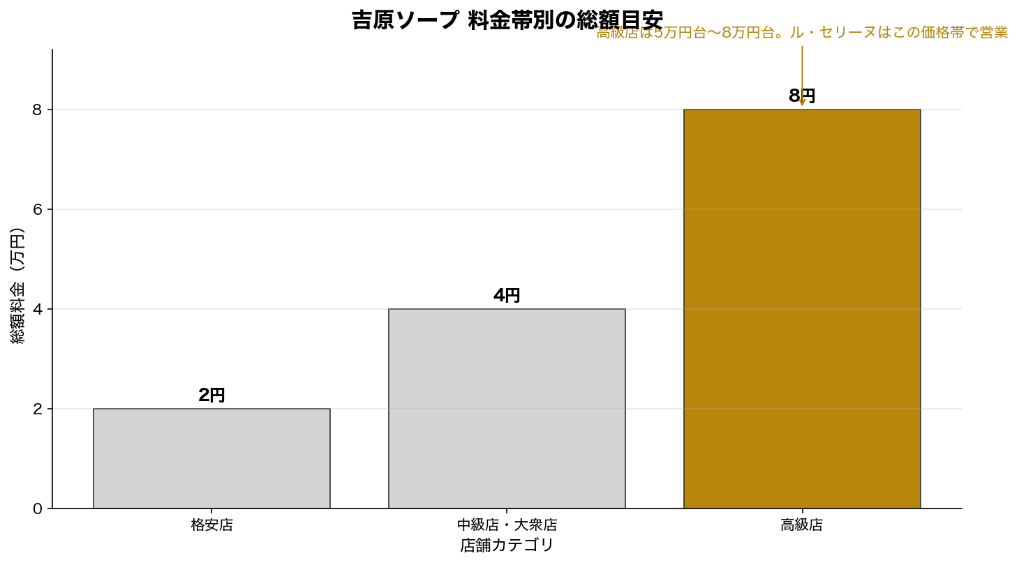 吉原ソープ 料金帯別の総額目安